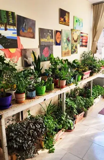 مدرسه رهروان معرفت کمال، گلخانه دبیرستان دوره دوم دخترانه رهروان معرفت کمال منطقه 5