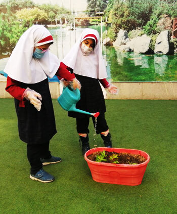 مدرسه نیکا ، آموزش به شیوه ی مونته سوری در ابتدایی نیکا منطقه ی 7