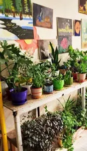 مدرسه رهروان معرفت کمال، گلخانه دبیرستان دوره دوم دخترانه رهروان معرفت کمال منطقه 5