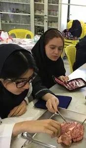 مدرسه  بشرا، آزمایشگاه بزرگ مجتمع دخترانه بشرا منطقه 2