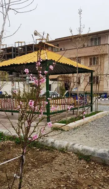 مدرسه صدرا نوین، حیاط پیش دبستان و دبستان دخترانه غیردولتی صدرا محدوده بلوار فردوس