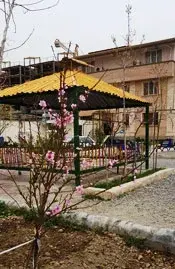 مدرسه صدرا نوین، حیاط پیش دبستان و دبستان دخترانه غیردولتی صدرا منطقه 5