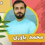 مدرسه اف ریاضی، محمد یاوری