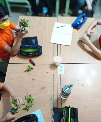 مدرسه سلام یاسین، تصویری از پژوهش در پیش دبستان و دبستان سلام یاسین