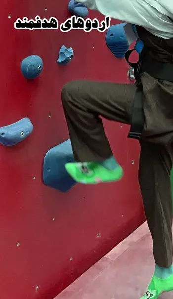 مدرسه  والا،  اردوهای هوشمندانه ادبستان والا | تجربه صخره‌نوردی و رشد مهارت‌های فرزندان شما